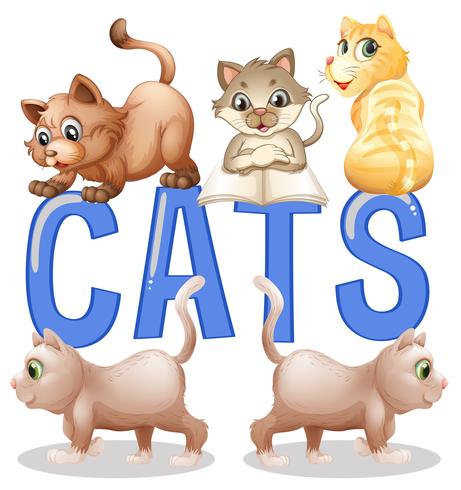 Design de fonte com gatos de palavra com muitos gatinhos no fundo vetor