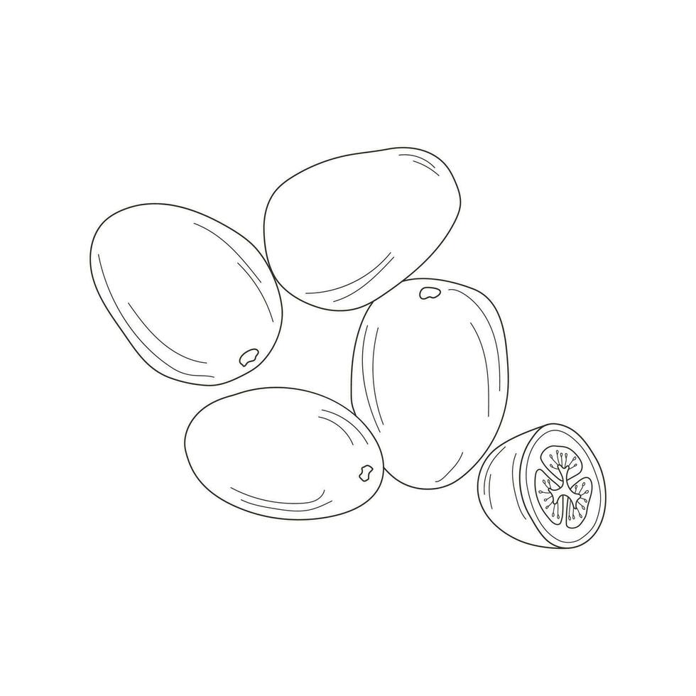 tomates rabisco desenhando coleção. legumes - tomates estão desenhado à mão vetor ilustrações do rabiscos dentro preto, isolado em uma branco fundo.