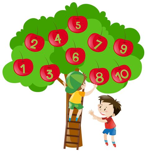 Contando números com maçãs na árvore vetor