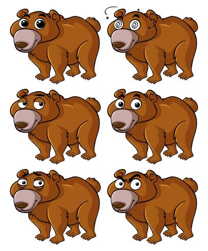 Urso com diferentes expressões faciais vetor