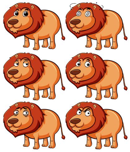 Leão com diferentes expressões vetor
