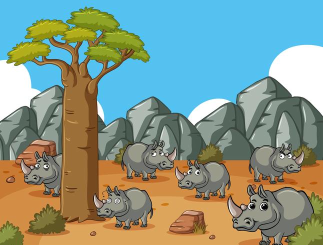 Campo de savana com muitos rinocerontes vetor