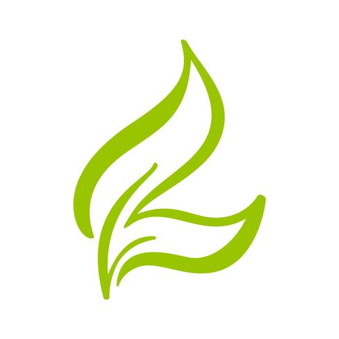 Logotipo da folha verde do chá. Ícone de vetor de elemento de natureza ecologia. Caligrafia bio bio vegano mão ilustrações desenhadas