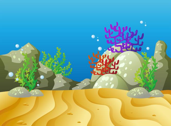 Cena subaquática com recife de coral vetor