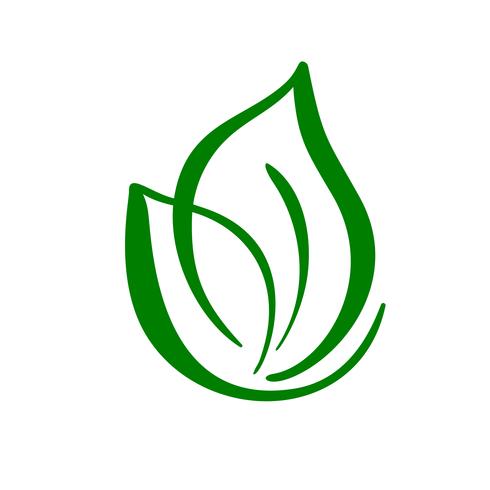 Plante o logotipo da folha verde do chá. Ícone de vetor de elemento de natureza ecologia. Caligrafia bio bio vegano mão ilustrações desenhadas