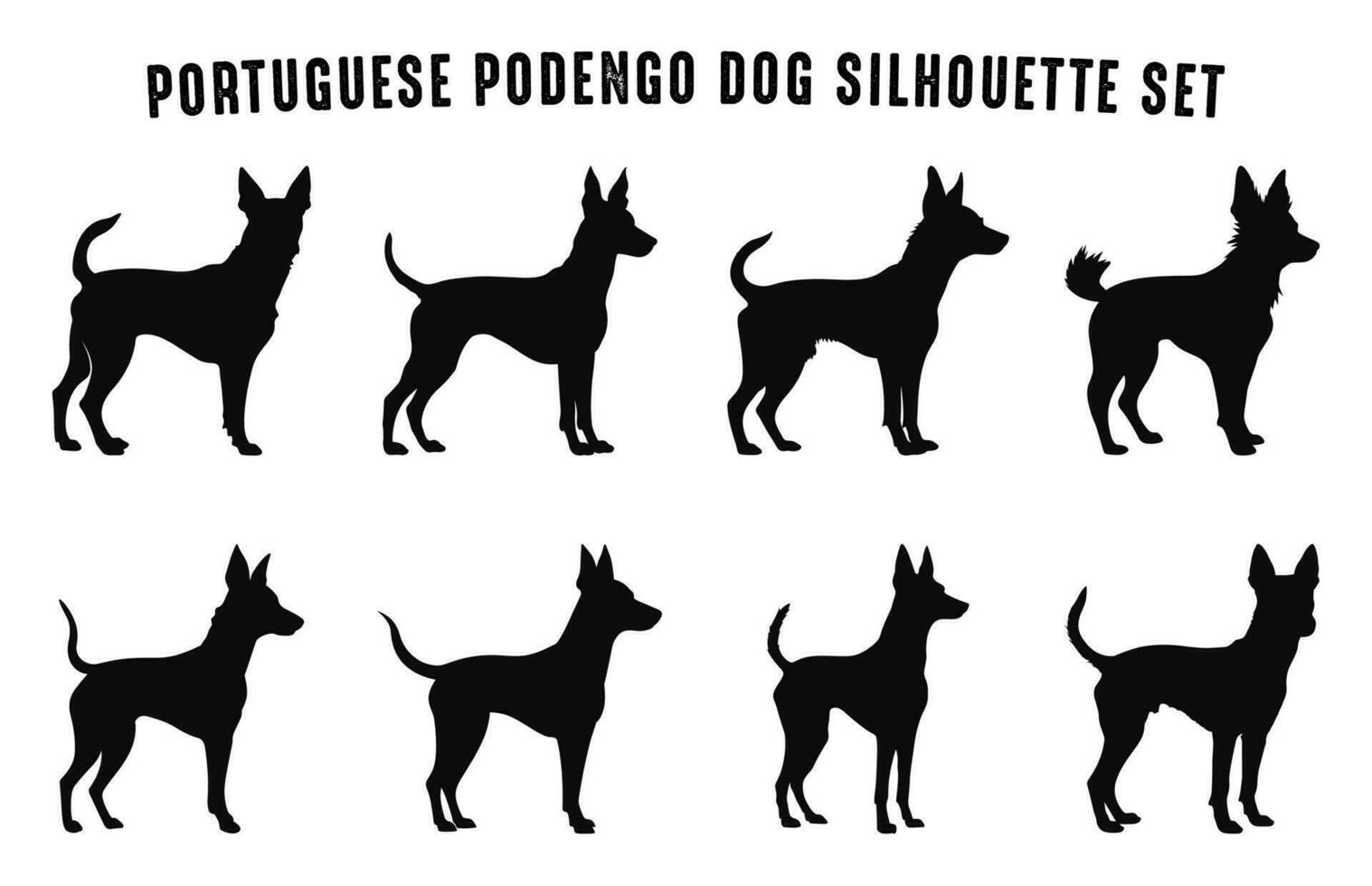 Português podengo cachorro silhuetas vetor definir, cachorros procriar Preto silhueta agrupar