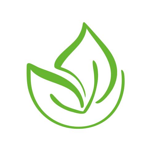 Logotipo da folha verde do chá. Ecologia natureza elemento vetoriais ícone símbolo. Caligrafia bio bio vegano mão ilustrações desenhadas vetor