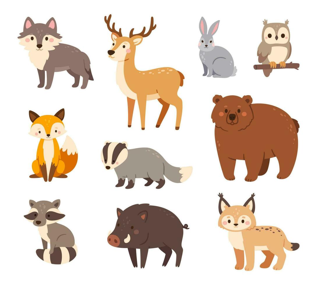 floresta animais. fofa bosque guaxinim, coruja e urso, Raposa e lebre, Lobo e javali, lince e cervo, texugo. feliz criança animal personagens vetor conjunto