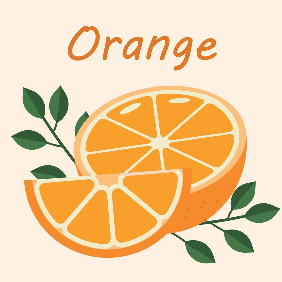 moderno ilustração laranjas com folhas e galhos. moderno botânica arte imprimir. conjunto do citrino tropical frutas. verão vetor Projeto para convites, cartazes, cartões, bandeiras.