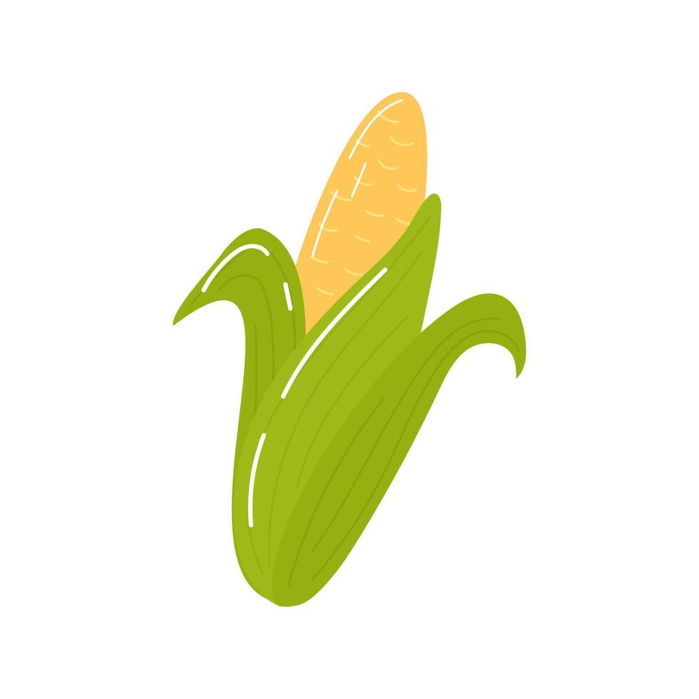 amarelo milho dentro verde folhas, cereal plantar dentro desenho animado estilo isolado em branco. vetor