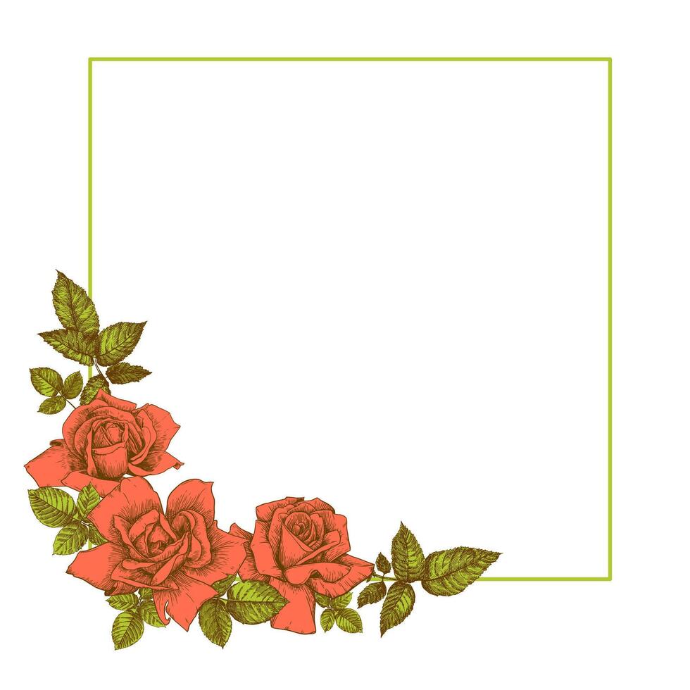 a quadro, Armação é decorado com rosas dentro a velho estilo vetor