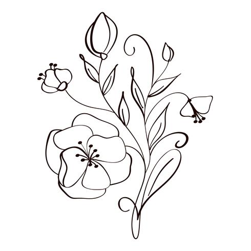 flores modernas, desenho e desenho floral com linha-arte isolado no fundo branco vetor