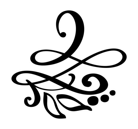 Hand drawn border flourish separator Elementos de designer de caligrafia. Ilustração em vetor vintage casamento isolada no fundo branco