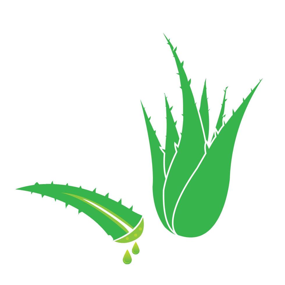 modelo de design de vetor de logotipo de ícone de aloe vera