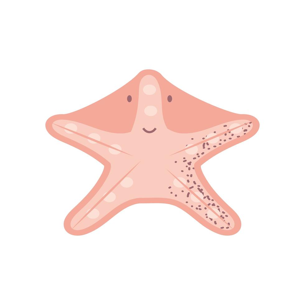 mundo subaquático animal vida marinha estrela do mar vetor