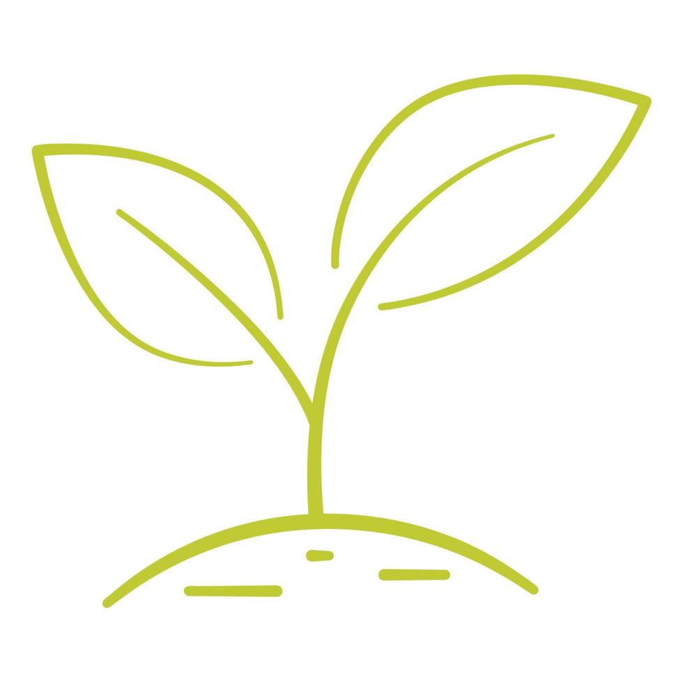 planta em crescimento. duas folhas verdes. conceito de proteção ambiental, conceito de fazenda natural ecológica, alimentos orgânicos, produtos veganos. ecologia, uso de elementos da natureza no tratamento de saúde ou aromaterapia vetor