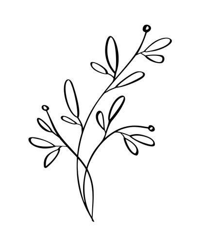 Desenho de flores modernas desenhadas e desenho floral com linha-arte, design de casamento de ilustração vetorial para t-shirts, sacos, para cartazes, cartões, isolado no fundo branco vetor