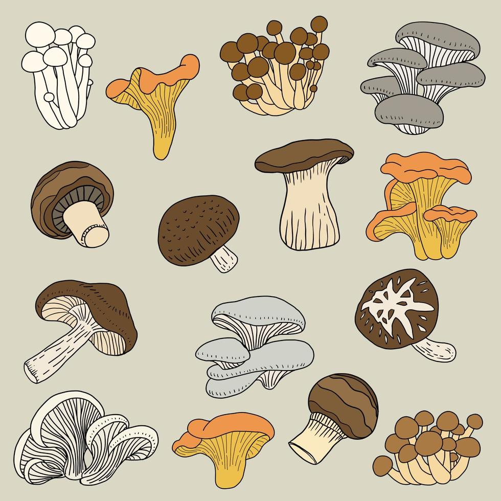 Doodle esboço à mão livre desenho coleção de cogumelos vegetais. vetor