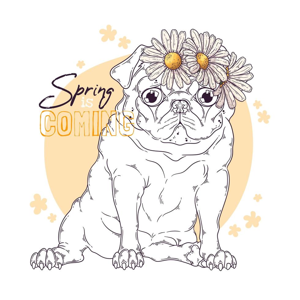 mão ilustrações desenhadas do cão pug com vetor de flores.