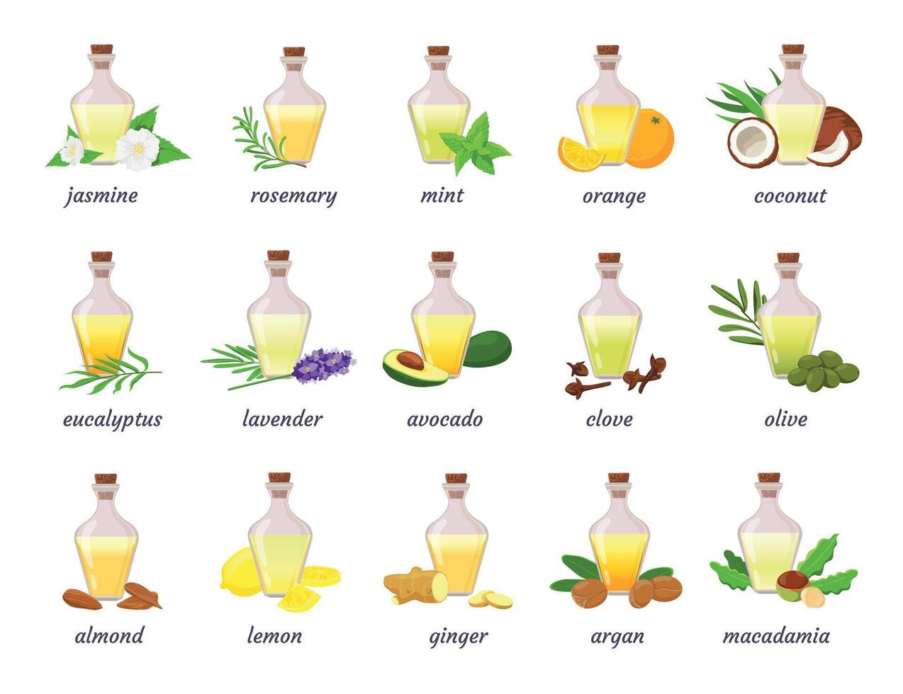 Cosmético essencial óleo garrafa com erva, fruta e flor. lavanda, argão, coco e amêndoa noz óleos. aromaterapia ou pele óleo vetor conjunto