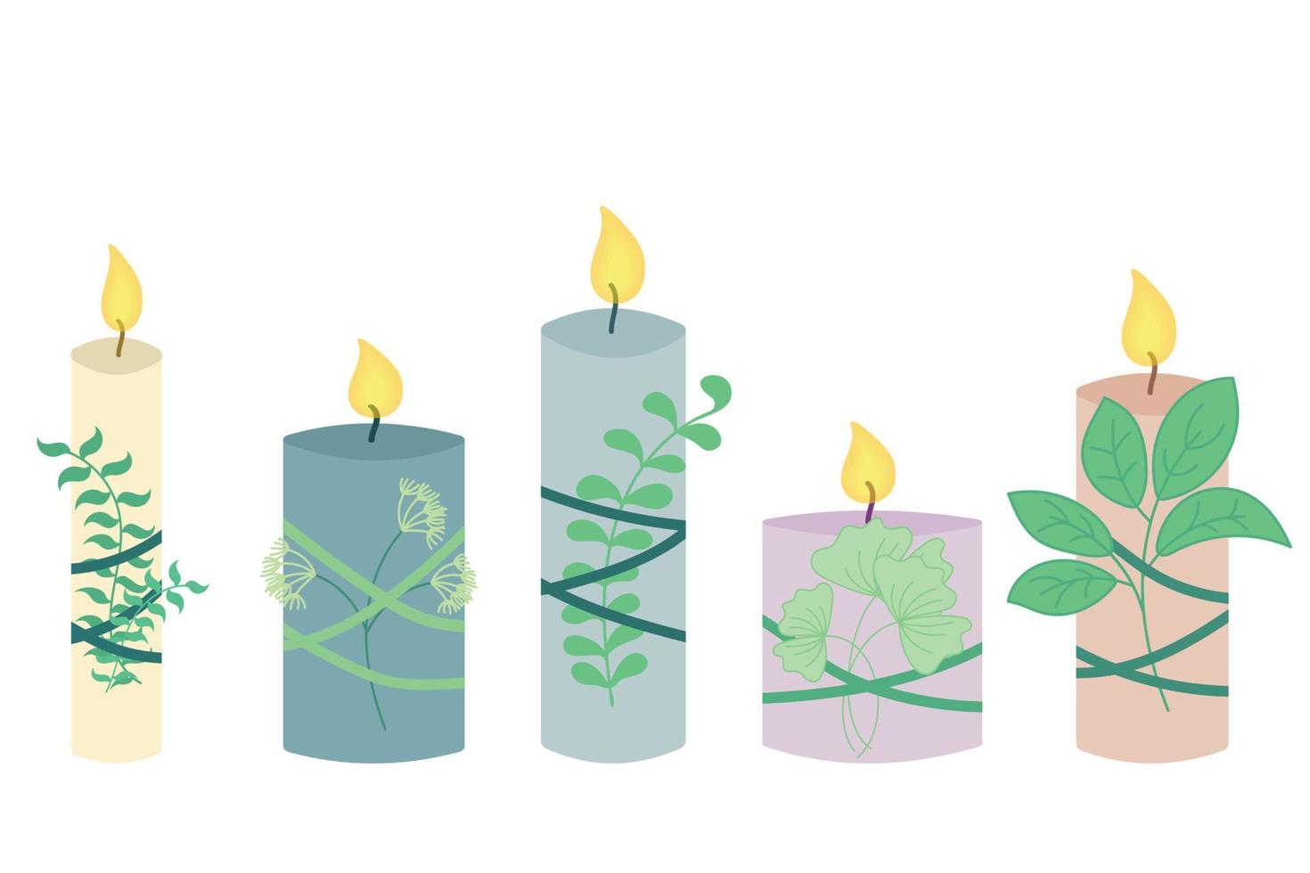 conjunto de velas com plantas. conceito de relaxamento e relaxamento, velas de aroma natural para ioga ou meditação vetor