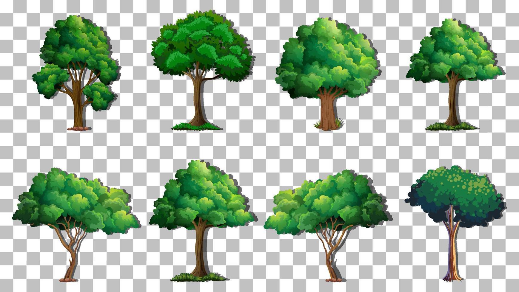 conjunto de árvores de variedade no fundo da grade vetor