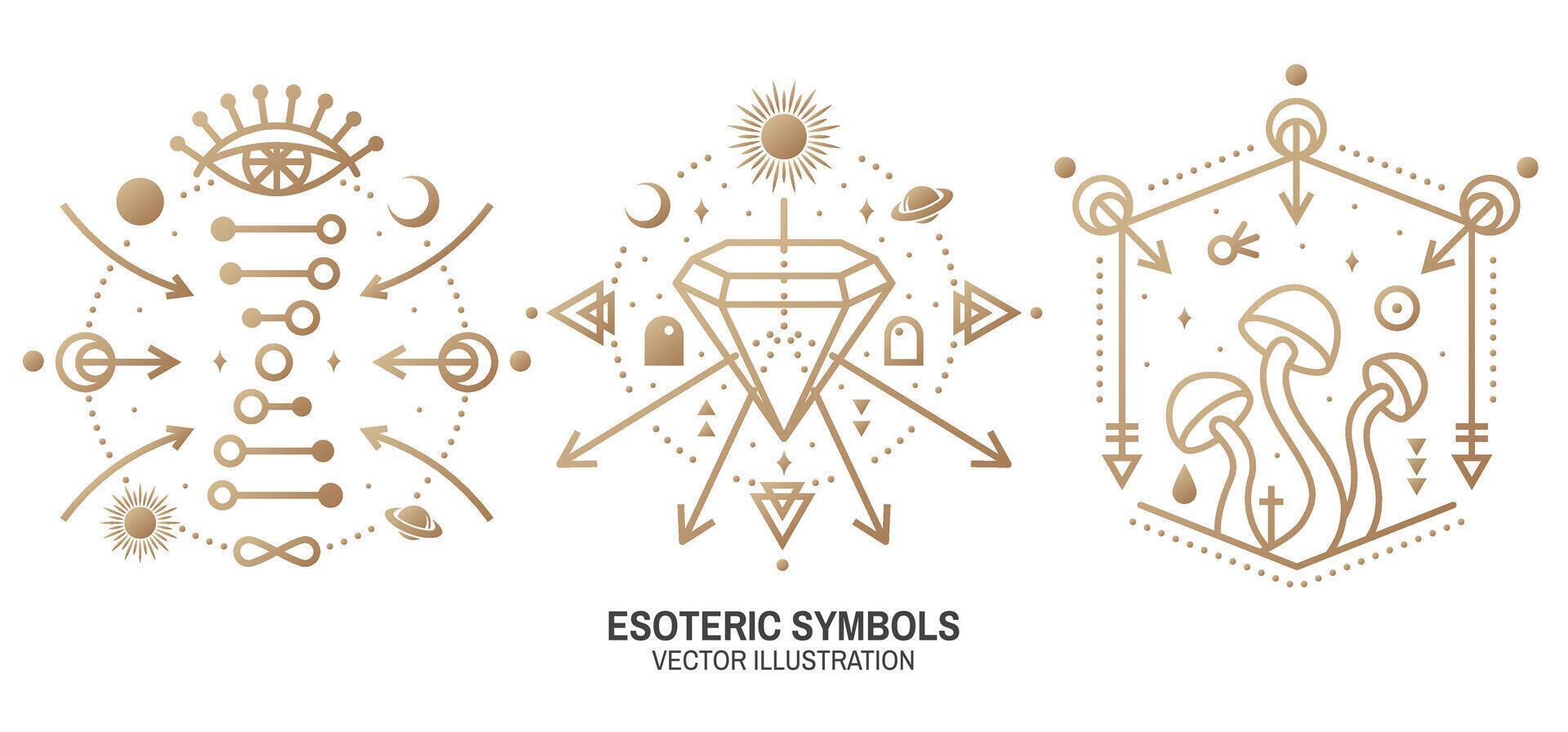 esotérico símbolos. vetor. fino linha geométrico distintivo. esboço ícone para alquimia ou sagrado geometria. místico e Magia Projeto com alquimia símbolos, vendo tudo olho, cristais, dna e cogumelos vetor