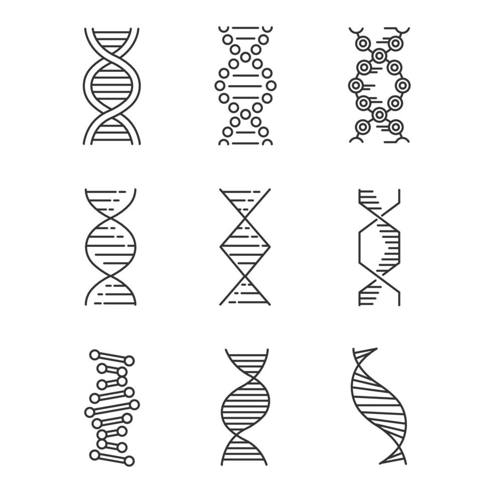 Conjunto de ícones lineares de espirais de DNA. desoxirribonucléico, hélice de ácido nucléico. biologia molecular. Código genético. genética. símbolos de contorno de linha fina. ilustrações isoladas de contorno vetorial. curso editável vetor