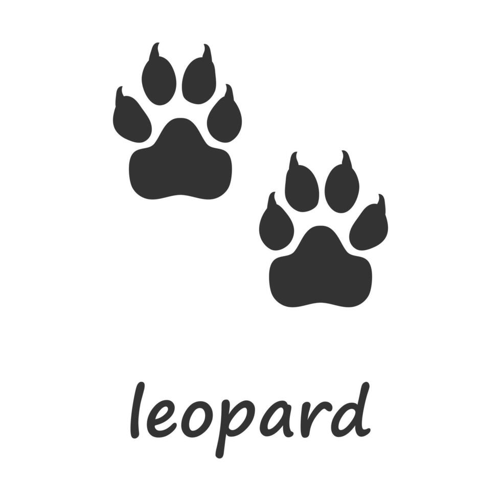 leopardo patas. leopardo pata imprimir. vetor ilustração.