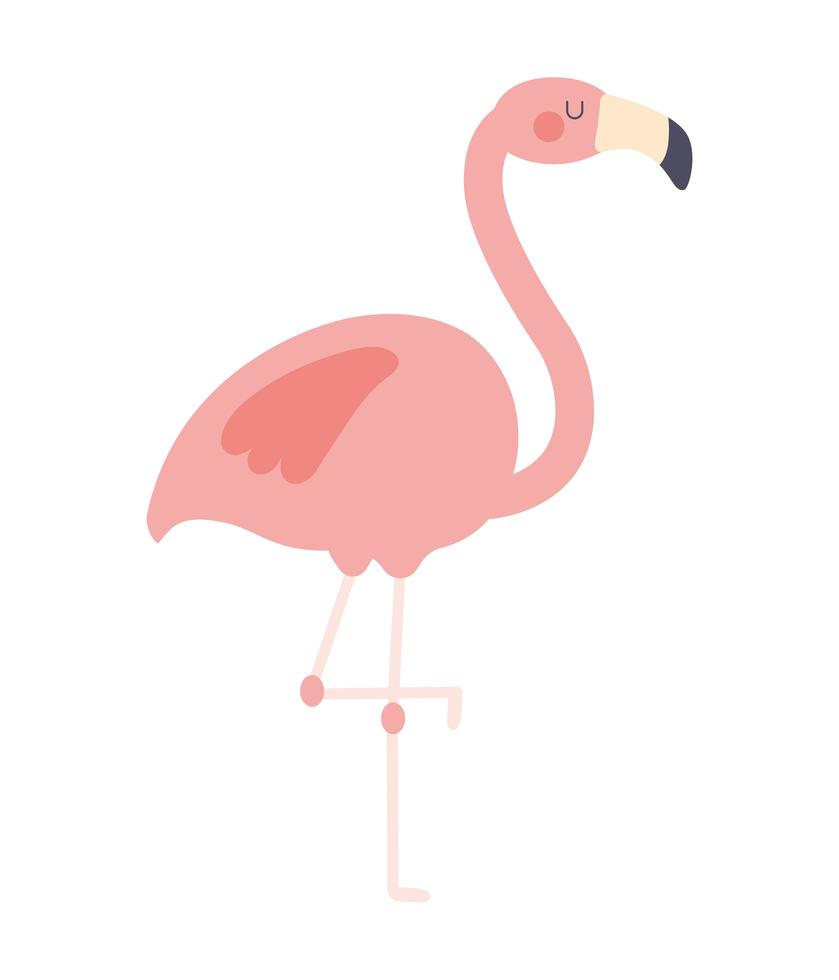 lindo flamingo rosa vetor