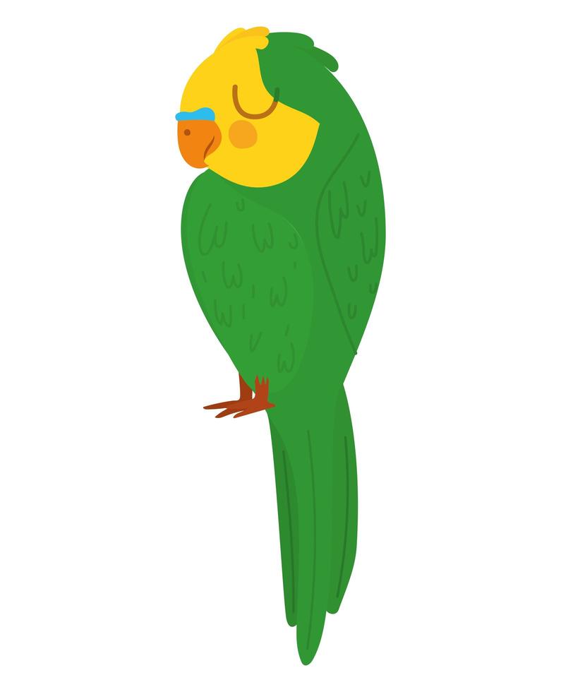 lindo design de papagaio vetor