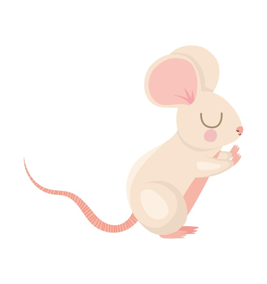 ilustração de ratos bonitos vetor