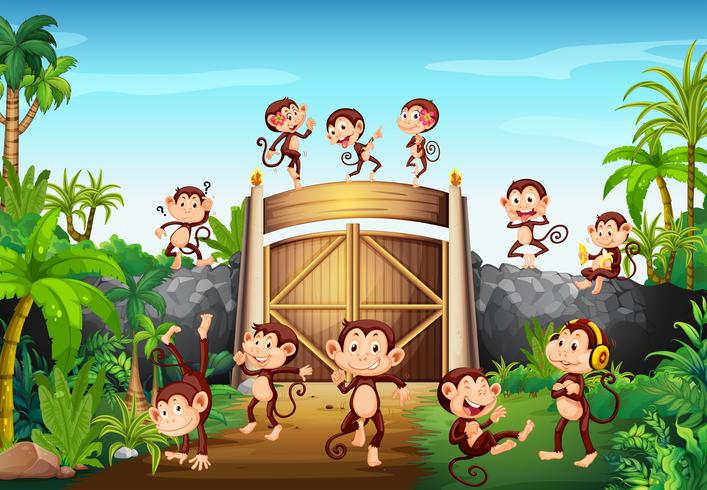 Macacos se divertindo no portão vetor