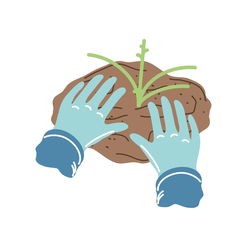 mãos plantando uma planta vetor