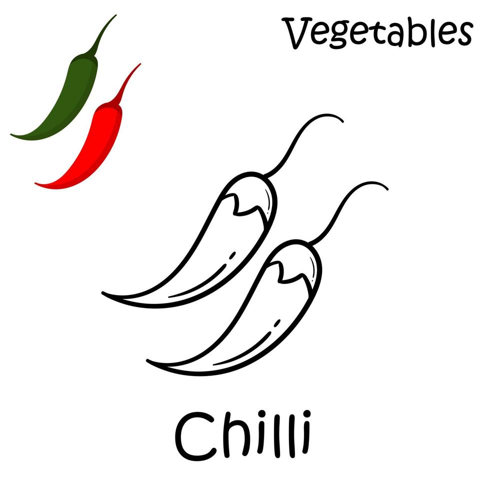 mão desenhada chili em um fundo branco vetor