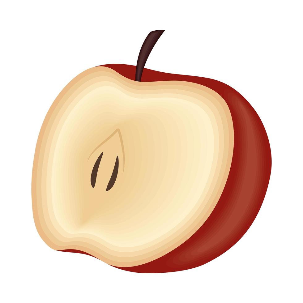 maçã meia fruta vetor