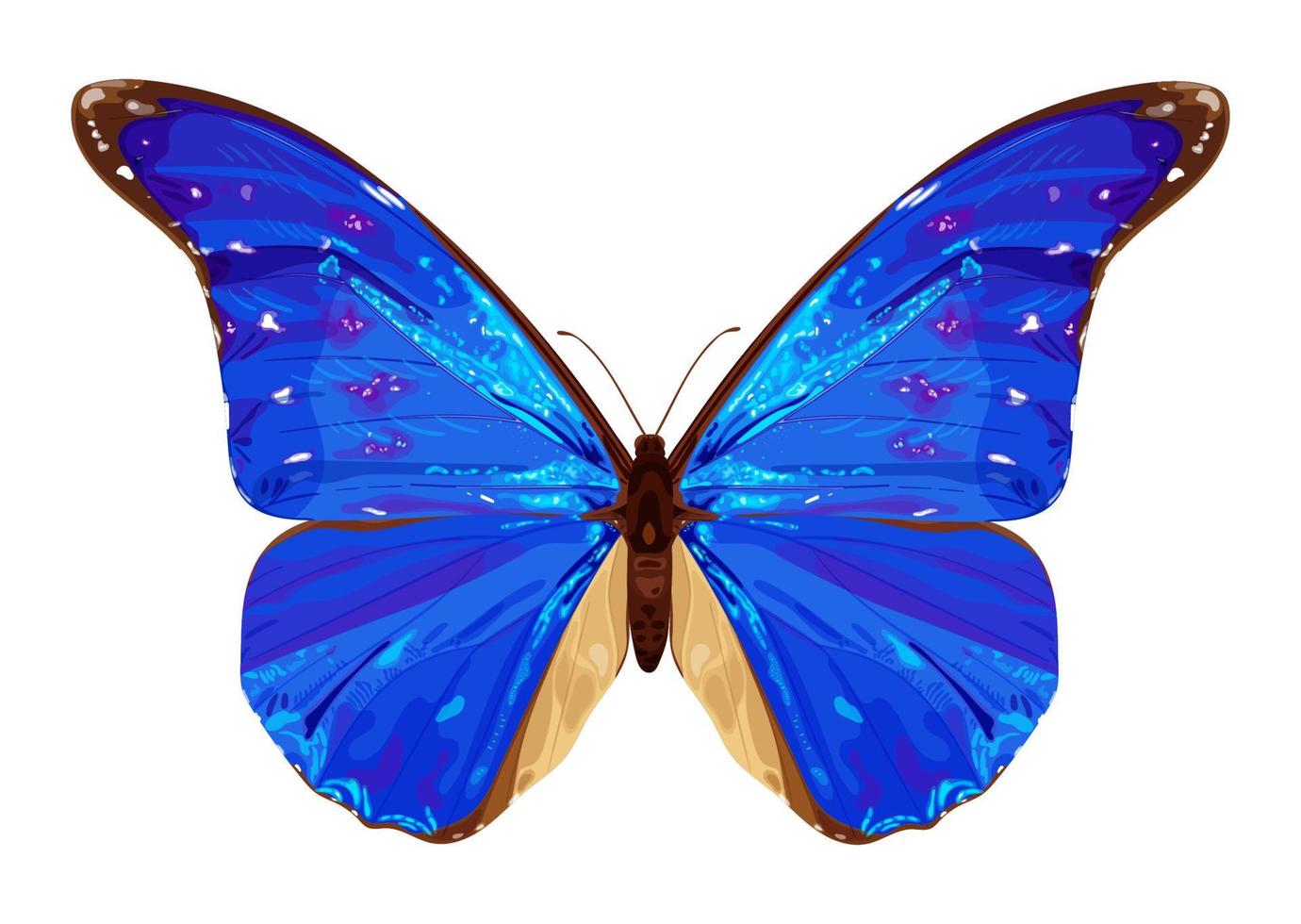 borboleta azul. inseto tropical. cores neon. ilustração em vetor estoque isolada no fundo branco.