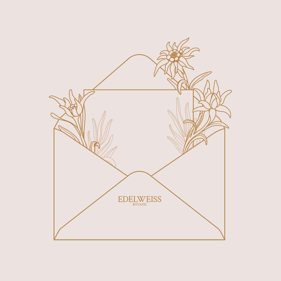 edelweiss. envelope com flores edelweiss. envelope floral com lugar para texto, pode ser usado como convite, cartão, banner. copie o espaço. ilustração das ações do vetor em um fundo rosa.