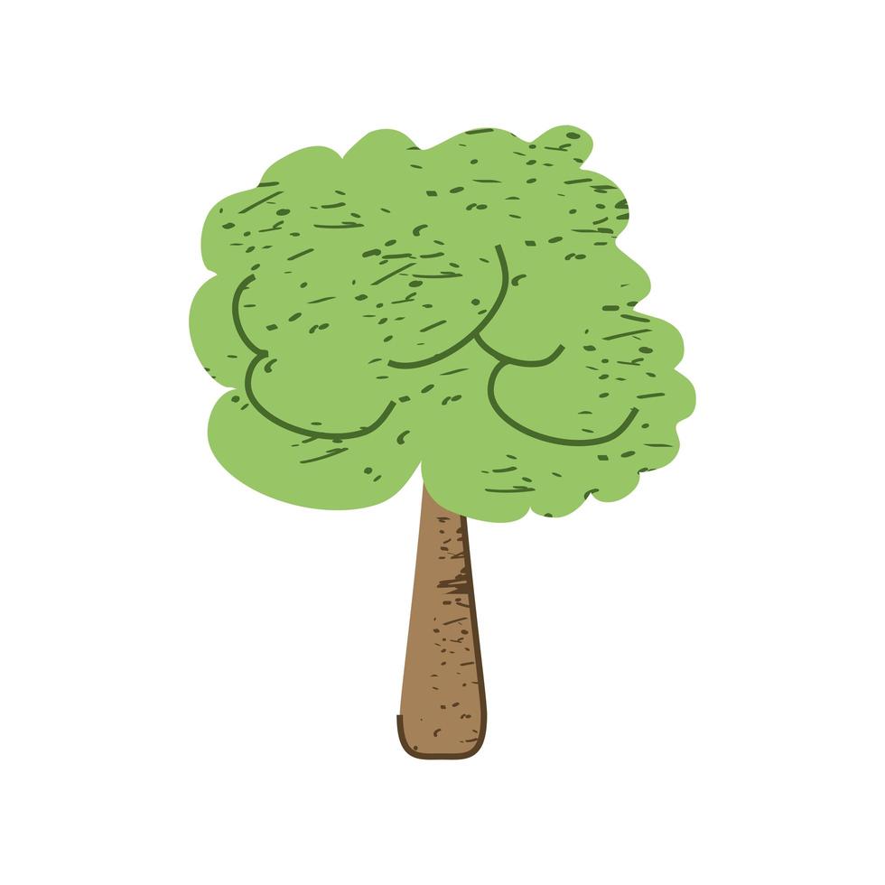 árvore frondosa verde vetor