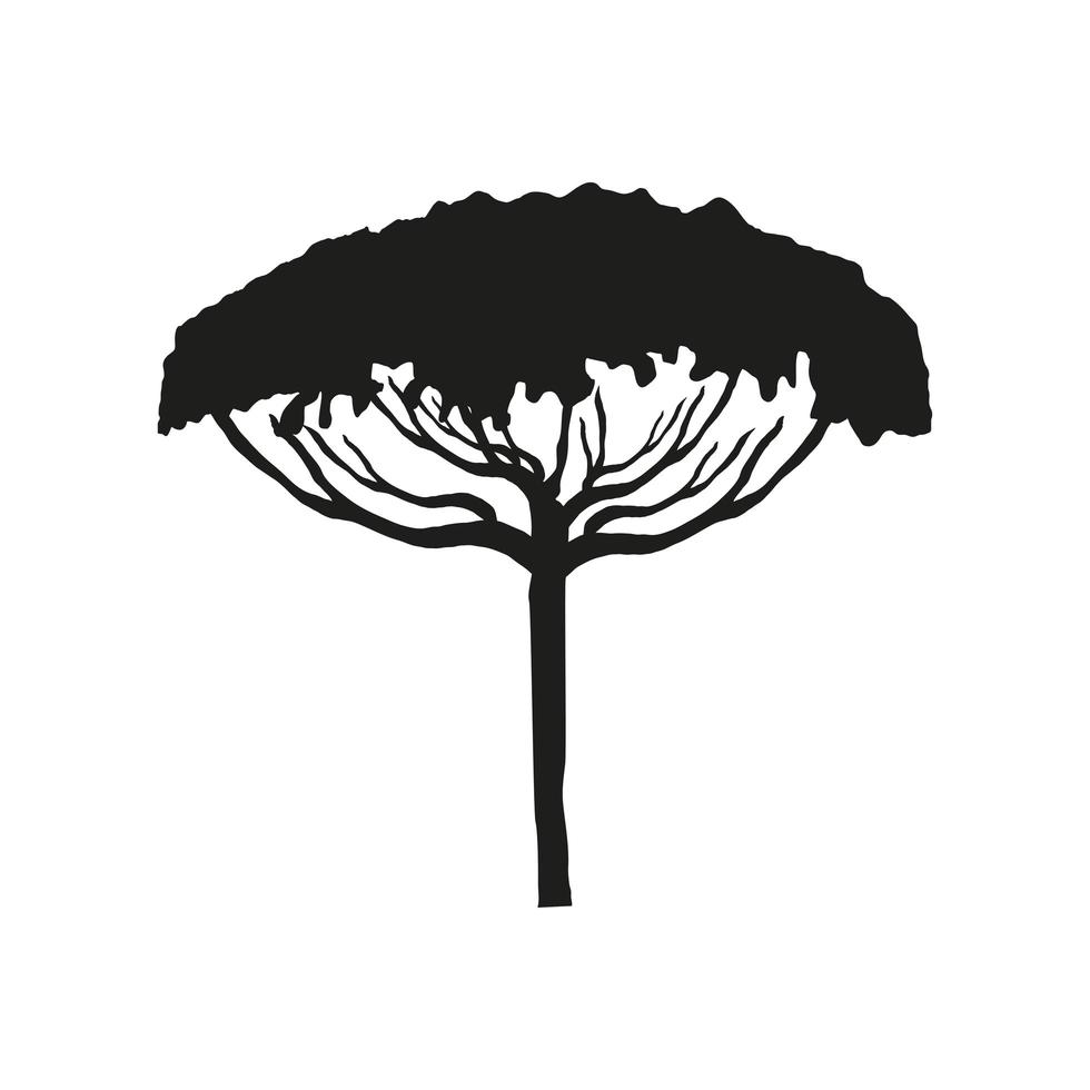 silhueta da árvore botânica vetor