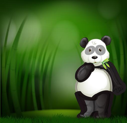 Panda bonito em uma floresta de bambu vetor