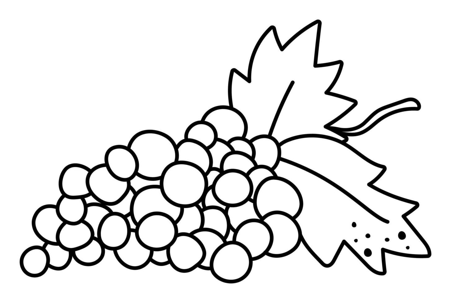 vetor uvas preto e branco com folhas. ícone de linha de frutas de outono. ilustração de uva vinho de contorno engraçado isolada no fundo branco. clipart de colheita de jardim ou fazenda