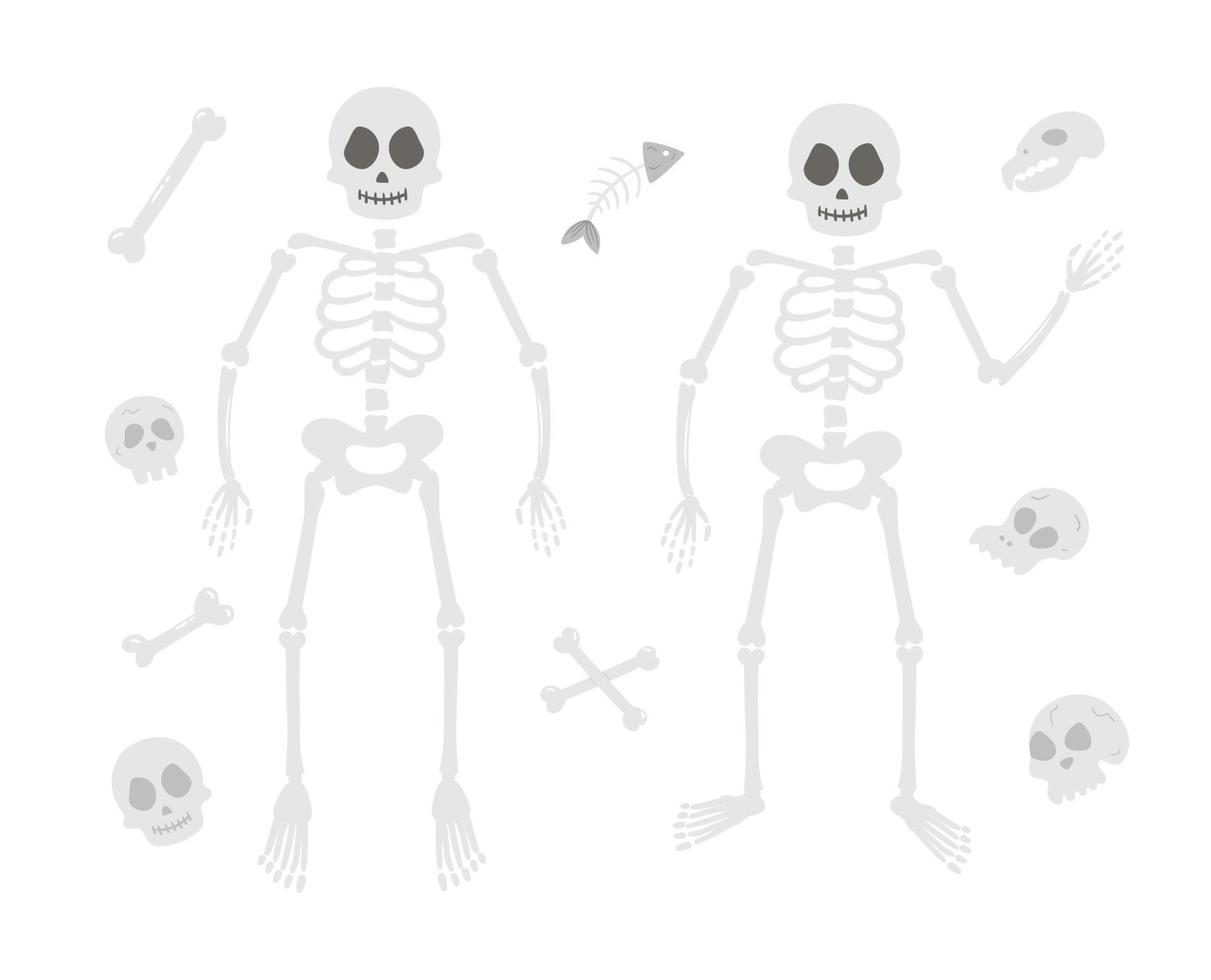 ilustração de festa de halloween com esqueletos humanos. conjunto de ossos e crânios de vetor. design assustador para festa samhain de outono. coleção de elementos do dia de todos os santos. vetor