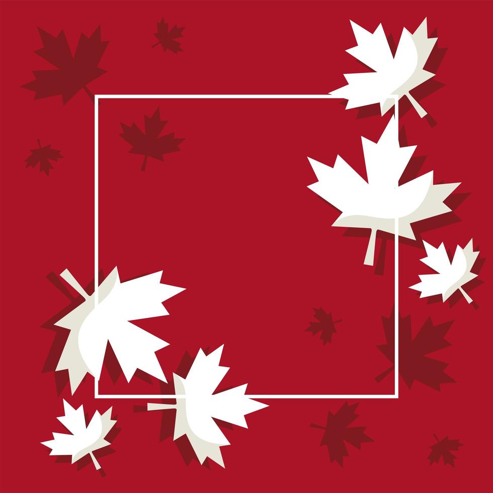 moldura quadrada canadense vetor