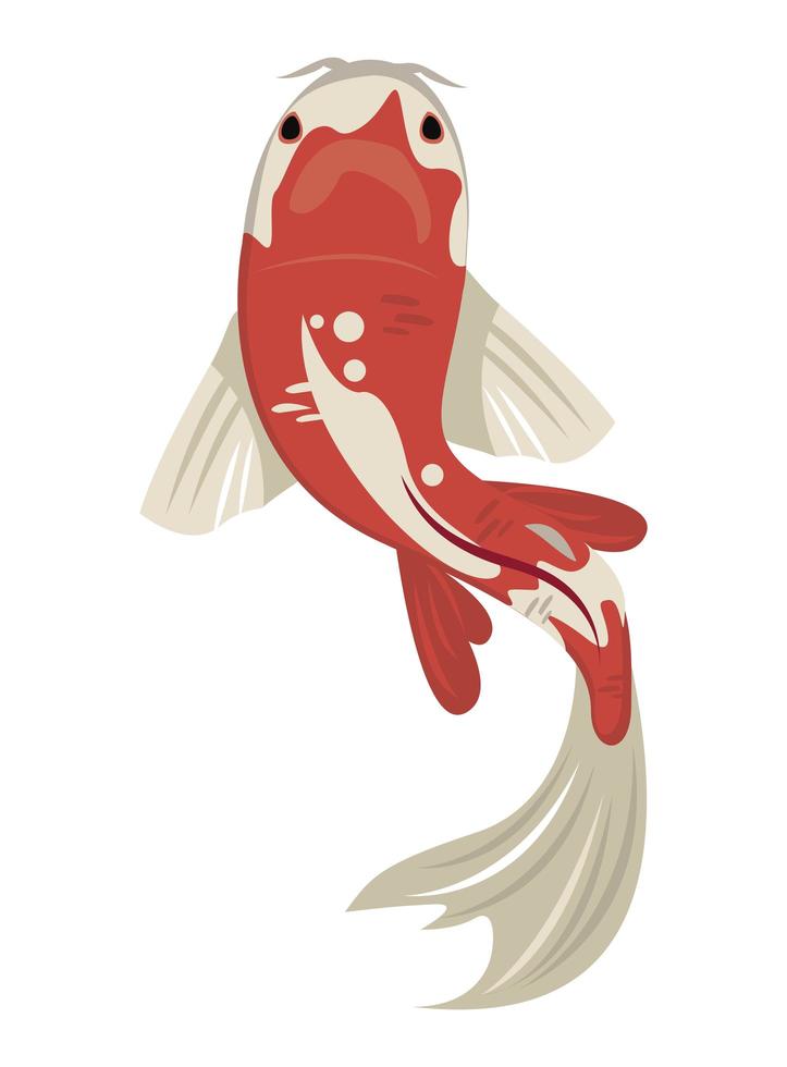 peixes koi branco e vermelho vetor