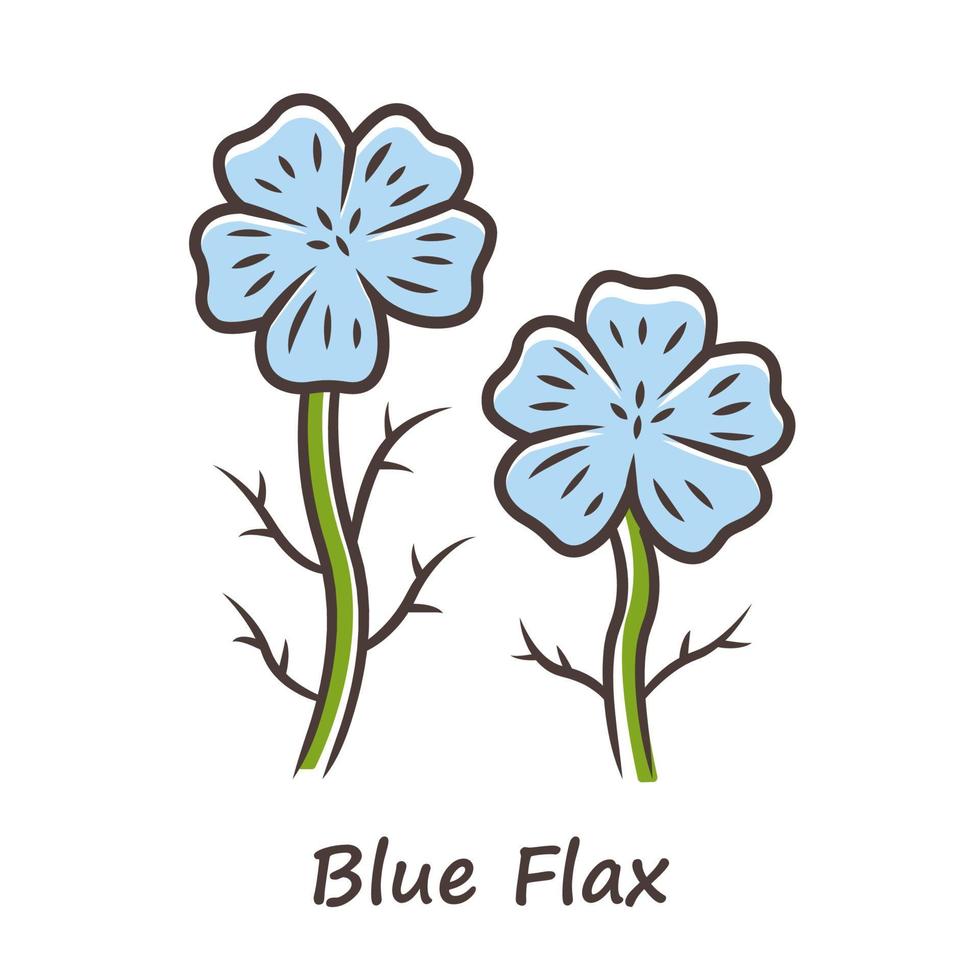ícone de cor de planta de linho azul. flor silvestre de linho com inscrição de nome. flor da primavera. florescendo linum inflorescência de flores silvestres. ilustração vetorial isolada vetor