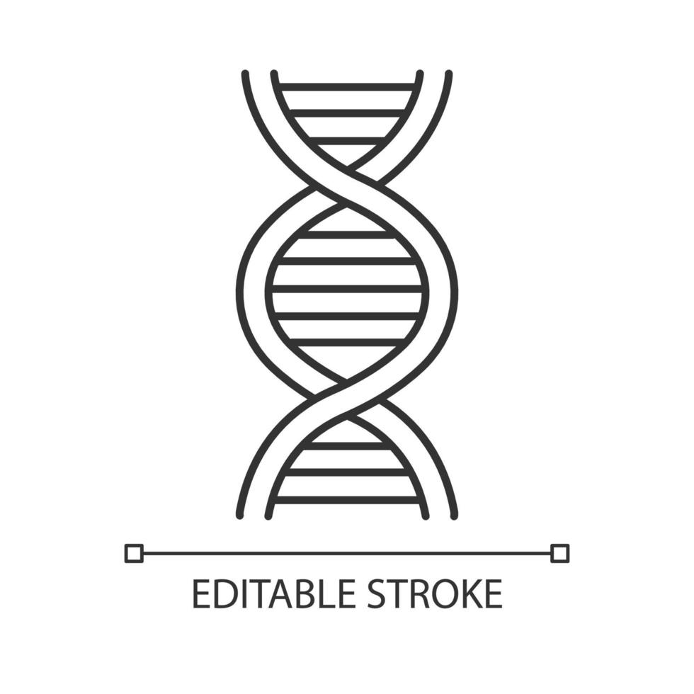 ícone linear de hélice de DNA. desoxirribonucléico, estrutura de ácido nucléico. cromossoma. biologia molecular. Código genético. ilustração de linha fina. símbolo de contorno. desenho de contorno isolado do vetor. curso editável vetor