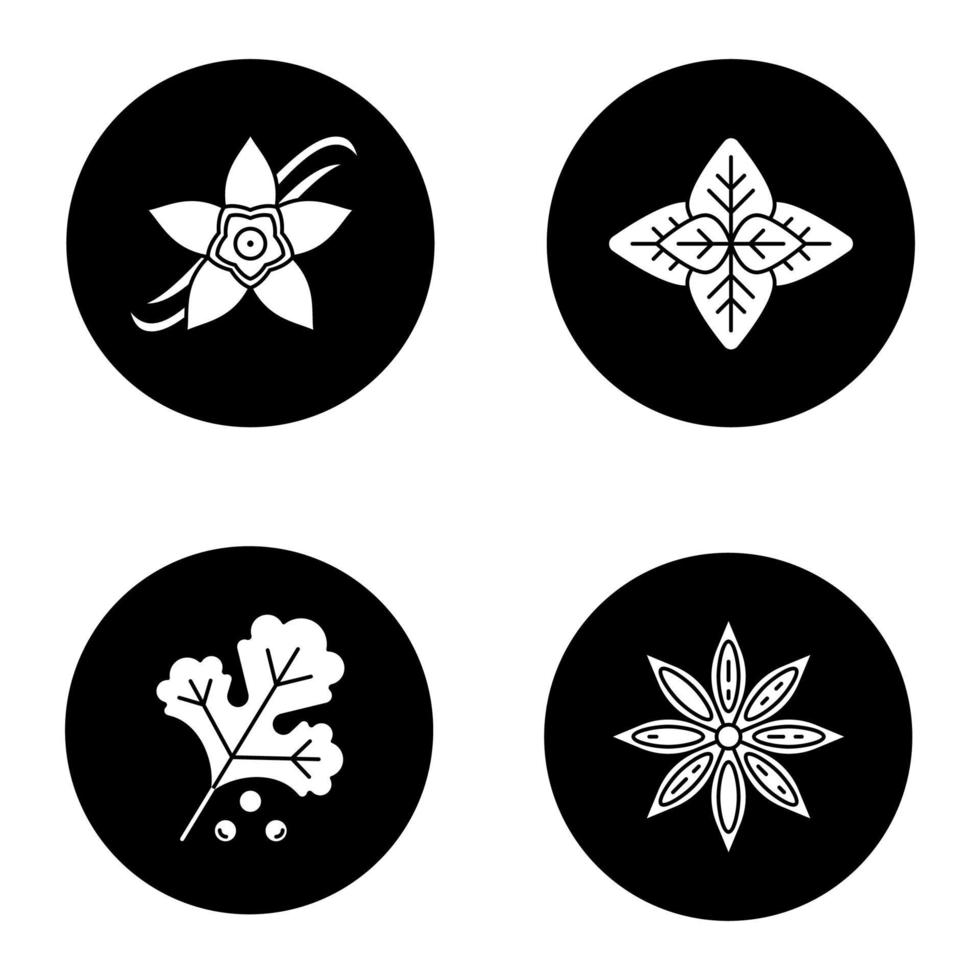 conjunto de ícones de glifo de especiarias. flor de baunilha, manjericão, coentro, anis. Ilustrações vetoriais de silhuetas brancas em círculos pretos vetor