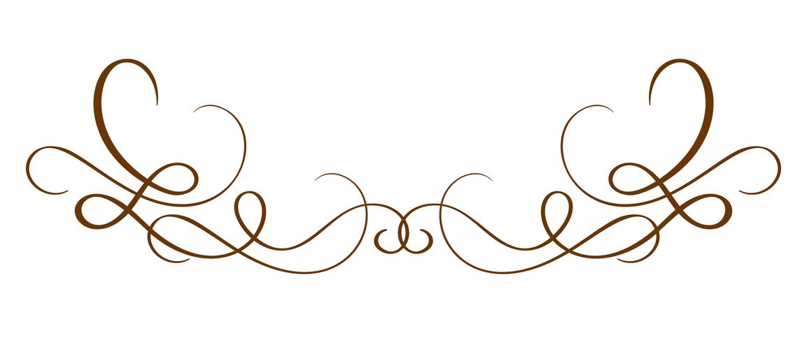 Separador caligráfico tirado mão do vetor. Elemento de Design de florescer primavera. Decoração de estilo de luz floral para cartão, web, casamento e impressão. Isolado no fundo branco caligrafia e lettering ilustração vetor