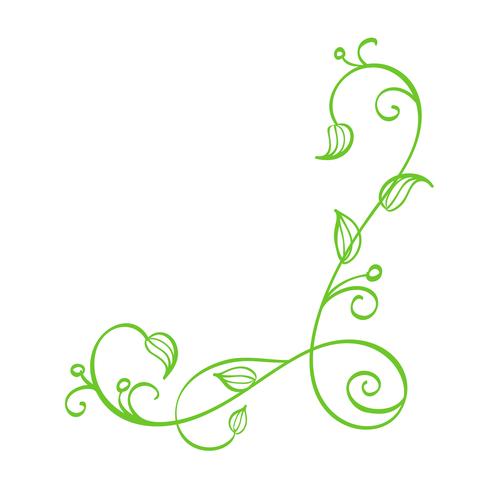 Canto caligráfico tirado do vetor mão verde. Elemento de Design de florescer primavera. Decoração de estilo de luz floral para cartão, web, casamento e impressão. Isolado no fundo branco caligrafia e lettering ilustração